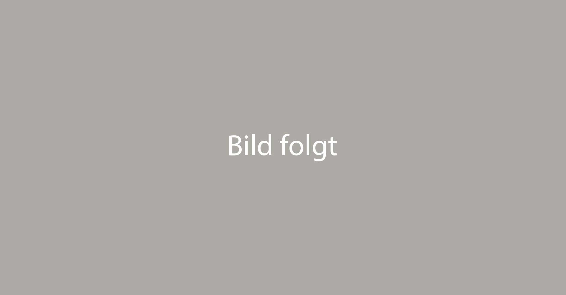 Ein elektrisches Tor für eine Garage