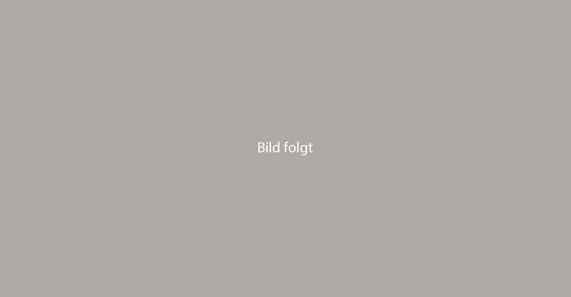 Ein schwarzes Carport mit einem Glasdach